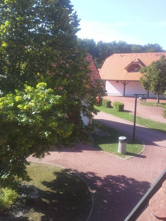 Apartment Nagelj Moravske-Toplice Eksteriør billede
